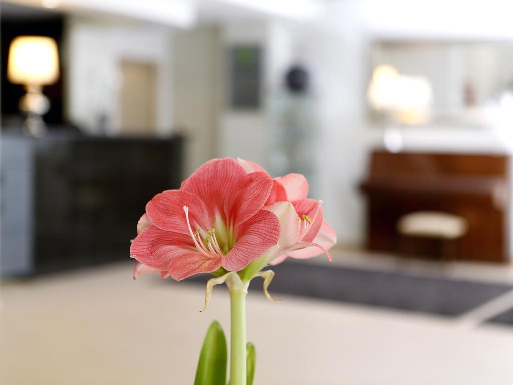 Cova Da Iria Hotel Фатима Екстериор снимка